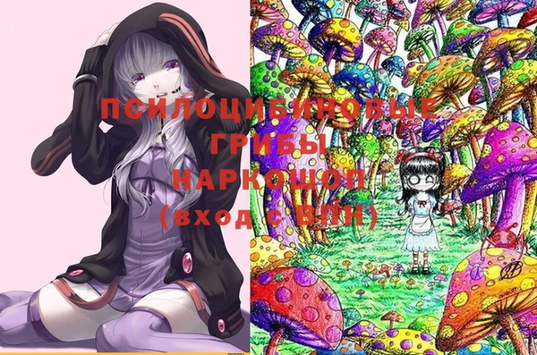 стаф Чердынь