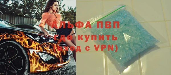 стаф Чердынь