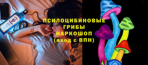 ECSTASY Фурманов